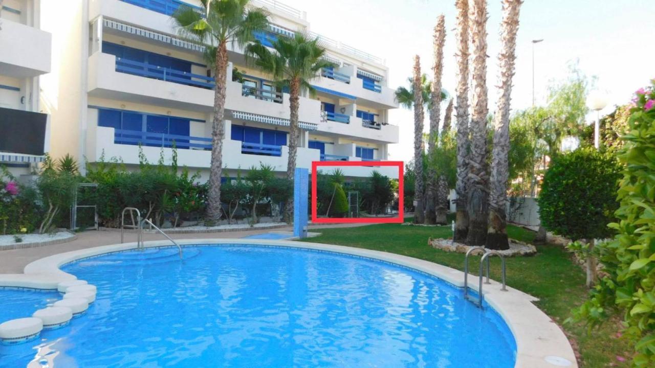 דירות Coral House - La Calma - Playa Flamenca - Big Terrace & 4 Swimming Pools. מראה חיצוני תמונה